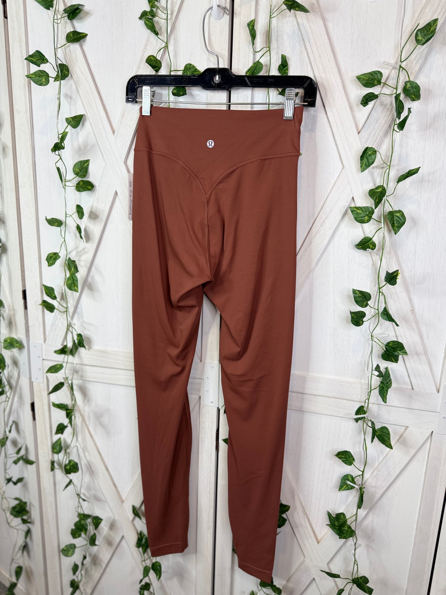 Breezethrough HR tight*Size 6 & 8