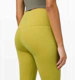 Align pant